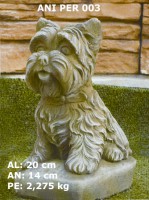 PERRO YORKSHIRE